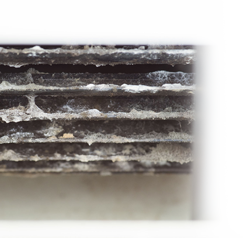 Air Ducts Cleaners Richardson TX